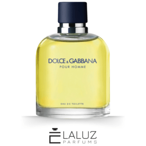 Perfume Pour Homme Dolce & Gabbana Eau de Toilette Masculino